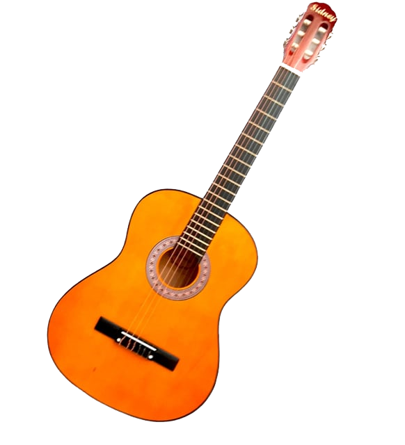 Klasik Gitar (Başlangıç Seviyesi)